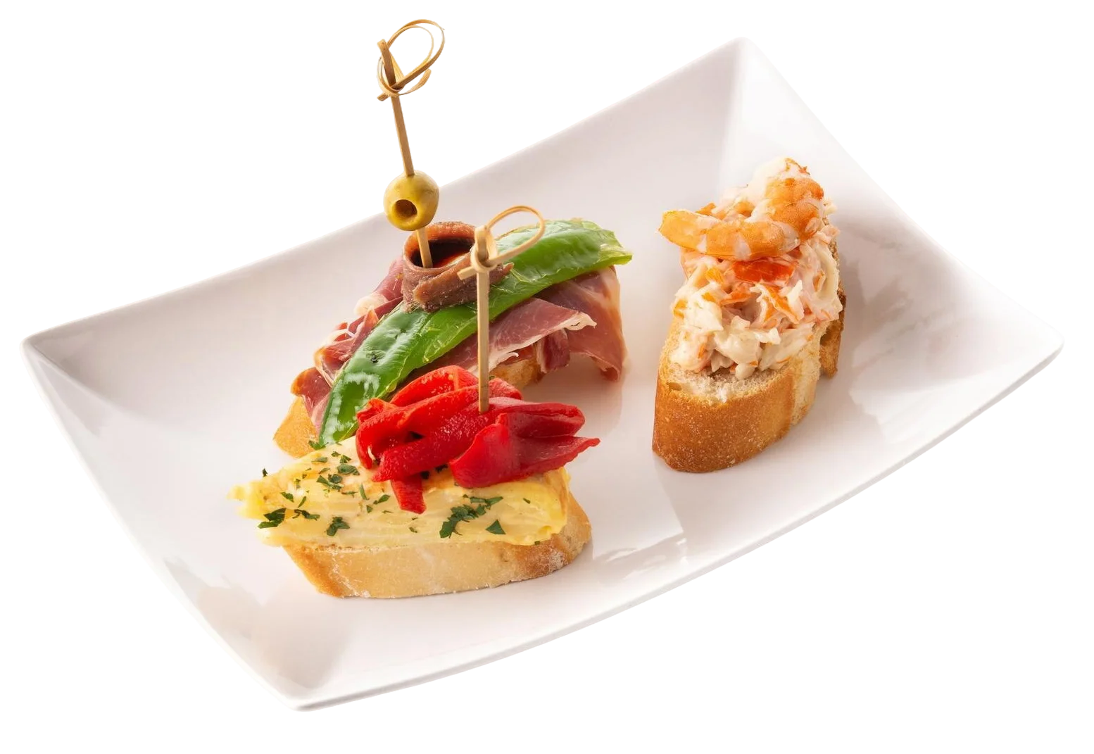 tapas planto para banner inicia 004